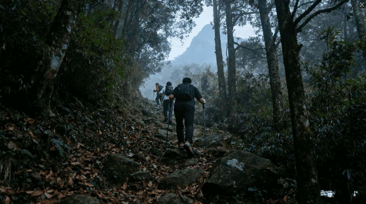 利用手机版袋鼠加速器享受高速网络与稳定连接